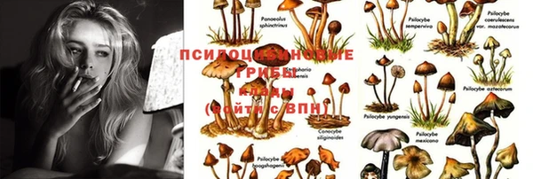 бутират Баксан