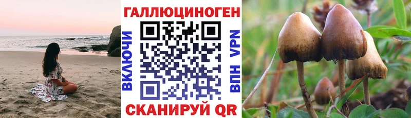 площадка состав  Кыштым  Псилоцибиновые грибы Psilocybe  где купить наркоту  kraken tor 
